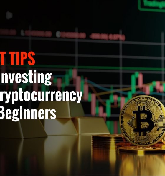 Key tips for beginner crypto investors: fundamentals, risk management, smart strategies, and diversification.